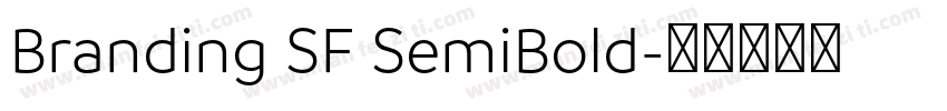 Branding SF SemiBold字体转换